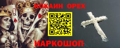дмт Гай