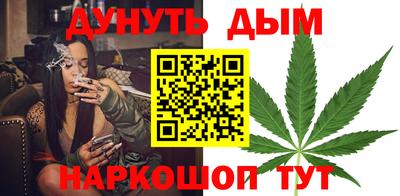 дмт Гай