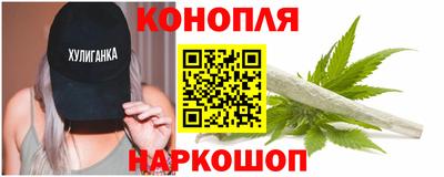 дмт Гай