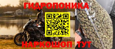 дмт Гай