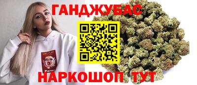 дмт Гай