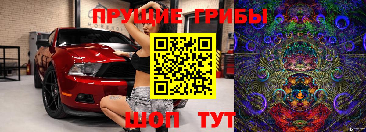 Галлюциногенные грибы Psilocybine cubensis Воткинск